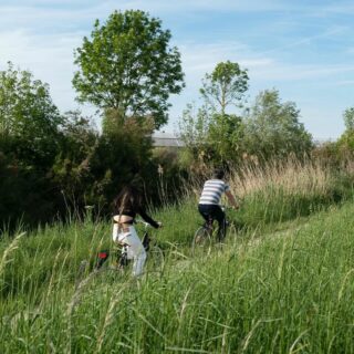 Le week-end arrive à grand pas, pourquoi ne pas sortir les vélos pour profiter des bords de lacs seul(e) ou à deux ?
.
.
.
#berrycola #cola #colamadeinfrance #madeinfrance #local #Berry #Bourges #frais #rafraichissant #drink #velo