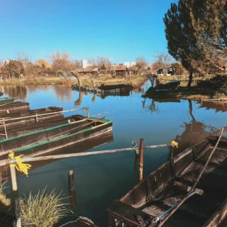 Le beau temps est au rendez-vous ☀️ profitez-en pour découvrir les marais de Bourges. Rien de tel qu’une petite balade en barque pour se sentir en pleine immersion dans notre région. 
.
.
.
#berrycola #cola #colamadeinfrance #madeinfrance #colafrançais #local #Berry #Bourges #frais #rafraichissant #drink #soda #sodaregional #boireBerry