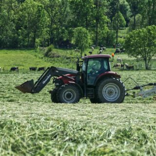 Comment ne pas parler du Berry sans rendre un hommage aux travailleurs de la terre. Sans eux le Berry ne serait pas le Berry, et ça, ça nous rend très fiers ! 🌱
.
.
.
#berrycola #cola #colamadeinfrance #madeinfrance #local #Berry #Bourges #frais #rafraichissant #drink