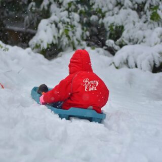 La neige tombée cette semaine nous a donné qu'une seule envie...faire de la luge, partant pour une course ? 1,2, 3… Berry !
.
.
.
#berrycola #cola #colamadeinfrance #madeinfrance #local #Berry #Bourges #frais #rafraichissant #drink #Noel2022